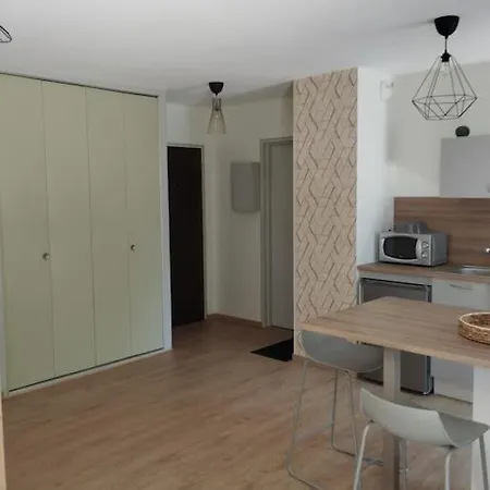 Studio Climatise Et Spacieux Situe Pres Des Parcs Vichy Buitenkant foto