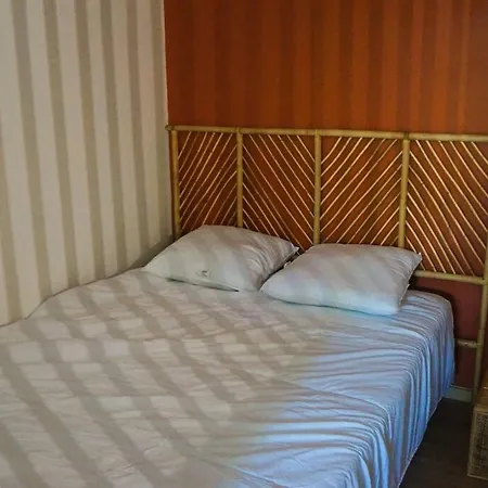 Studio Climatise Et Spacieux Situe Pres Des Parcs Vichy Buitenkant foto