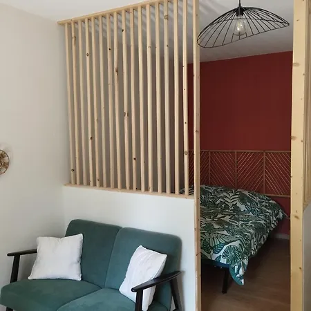 Studio Climatise Et Spacieux Situe Pres Des Parcs Vichy Buitenkant foto