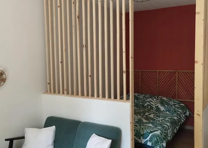 Studio Climatise Et Spacieux Situe Pres Des Parcs
